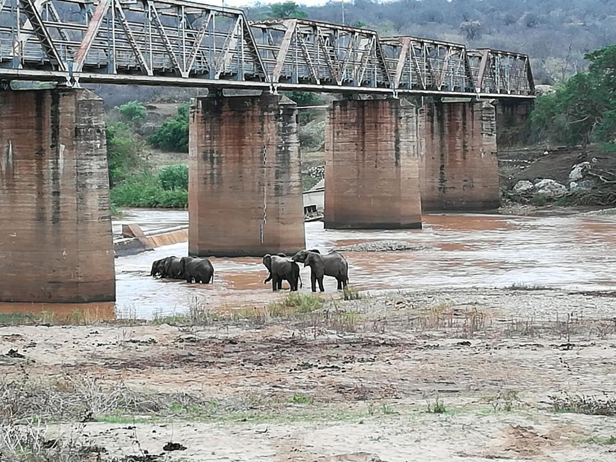 Three Bridges B&B Hoedspruit Bagian luar foto